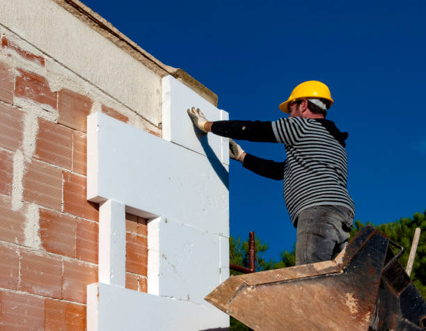 Best Attic Insulation Installation  in Sealy, TX