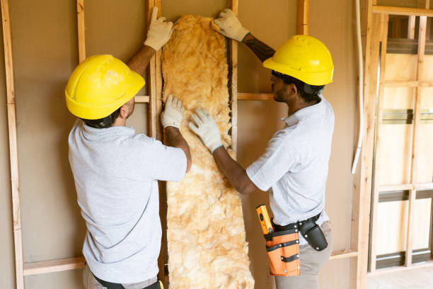 Best Insulation Inspection Services  in Sealy, TX